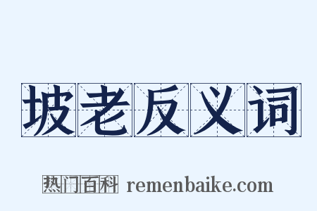 坡老反义词是什么意思的图片